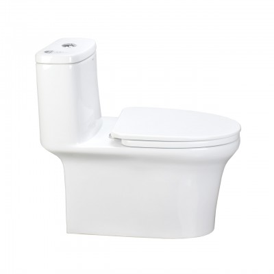 ANNWA NL103 Factory Supplier Cheap Elegant Design One Piece Toilet With Prices