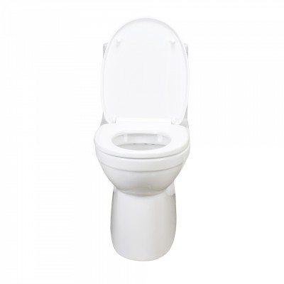 NL101 Factory Water Ridge One Piece Dual Flush Toilet Closet Washdown One-piece Toilet With Price